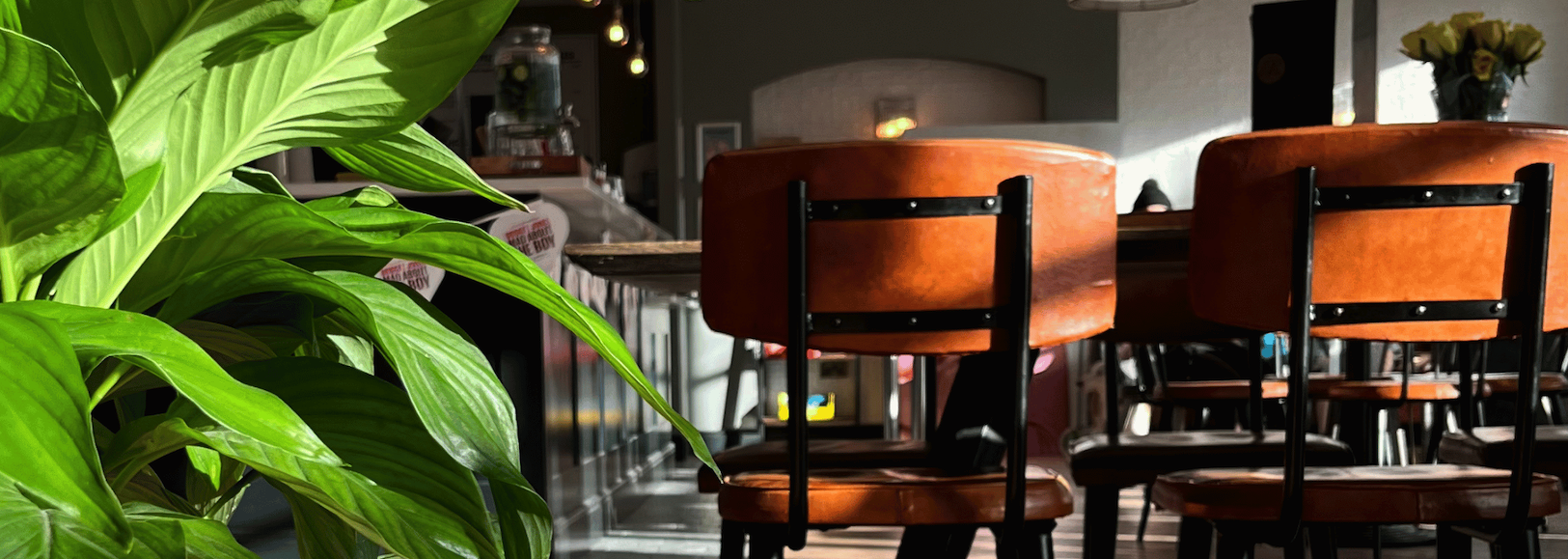 The caf&eacute;-bar at The Living Room Cinema